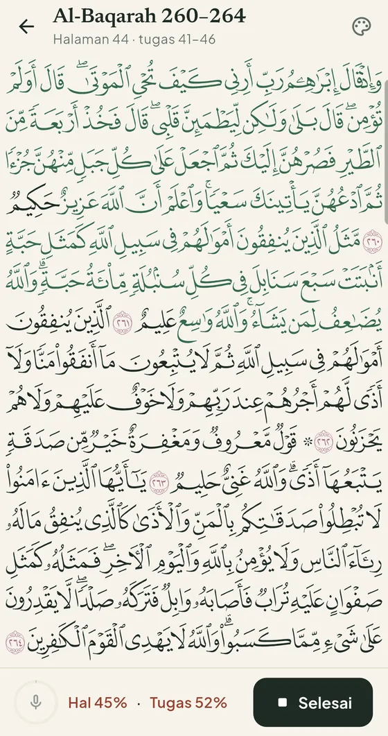 BerQuran mushaf view while reading the Quran aloud